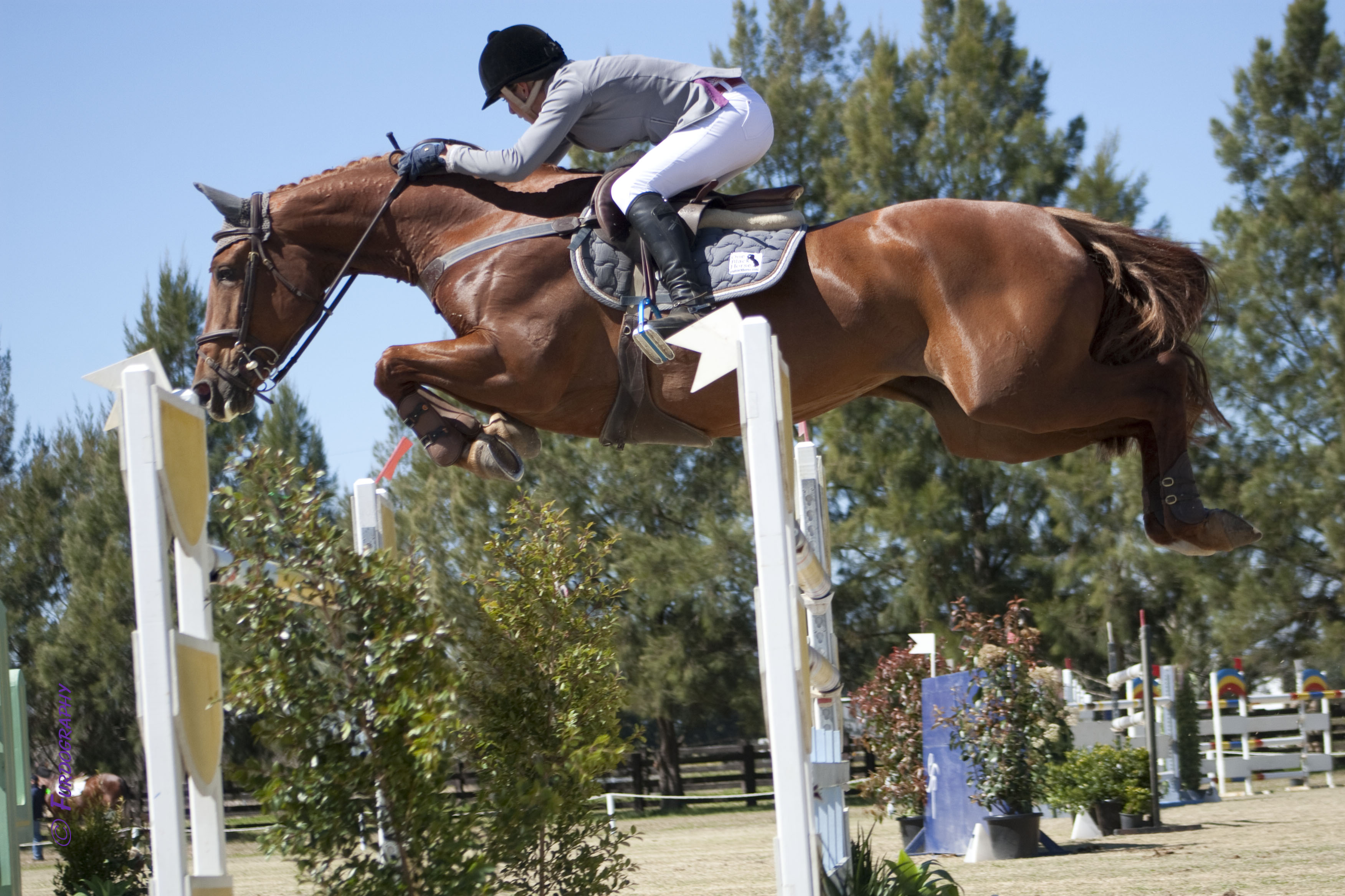 Olivia Hamood on GH Eternal Flame - Photo Rachel Smith / Furdography